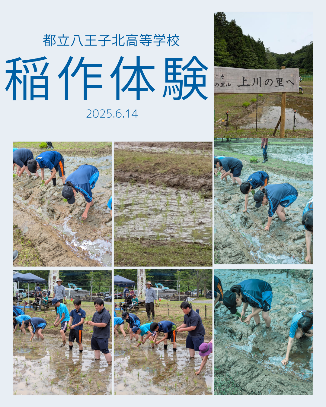 青　写真コラージュ　文化祭　instagram投稿